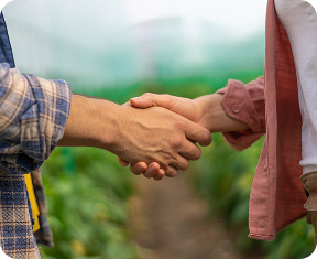 Зображення - 3