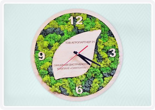 Сертифікат - 14