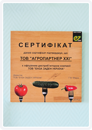 Сертифікат - 8